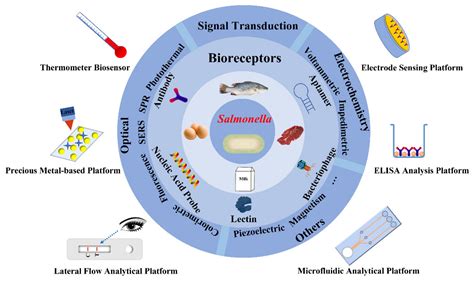 biochemical tests for salmonella|Salmonella Contamination and Rapid Detection Methods.